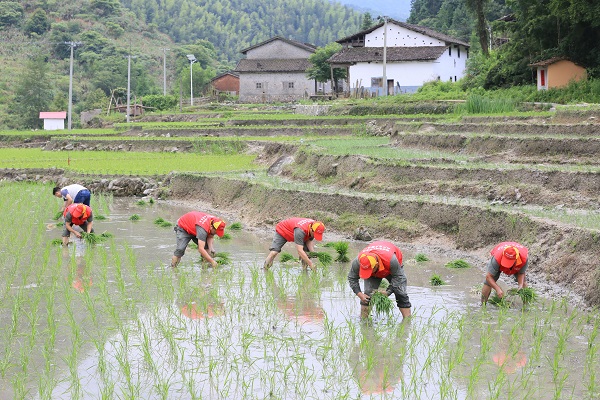 小山村有了大變化——國網(wǎng)樂安縣供電公司精準扶貧工作側(cè)記