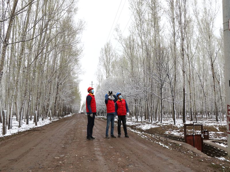 國(guó)網(wǎng)伊犁伊河供電公司四月飛雪，電力員工巡視線路保供電