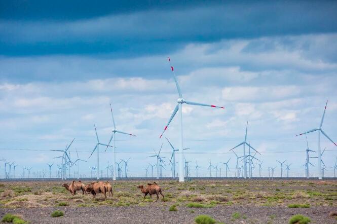 西北第一!哈密風電“風景正好” 進入大風機時代