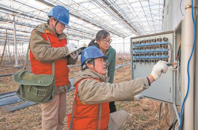 江蘇省新沂市：優(yōu)質服務送上門 水蜜桃富了老范村