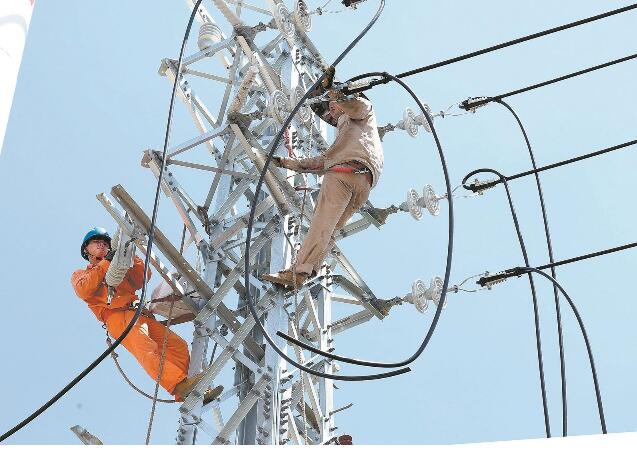 福建莆田供電公司黨委以高質量黨建推動電網(wǎng)高質量發(fā)展