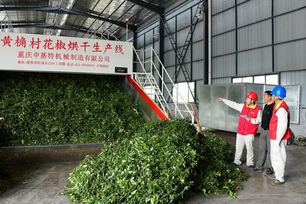 國網(wǎng)重慶市電力公司“電靚和美鄉(xiāng)村”故事大賽作品火熱征集中