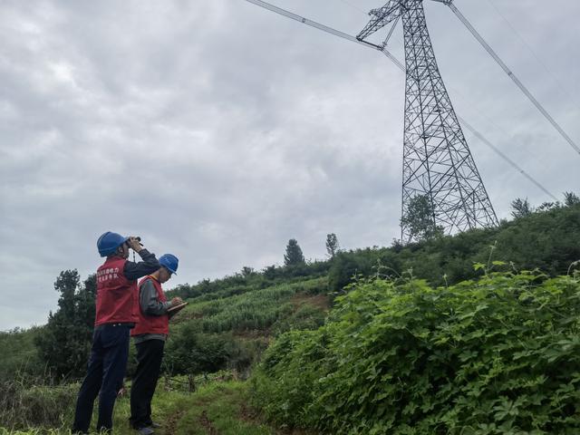 國網伊川縣供電公司強化雨后特巡 夯實保供責任