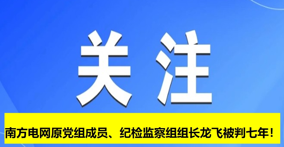 南方電網(wǎng)原黨組成員、紀(jì)檢監(jiān)察組組長(zhǎng)龍飛被判