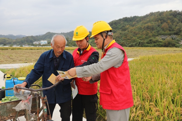 國(guó)網(wǎng)臺(tái)州市黃巖區(qū)供電公司：初冬巡線(xiàn)護(hù)豐收 為農(nóng)用電添保障